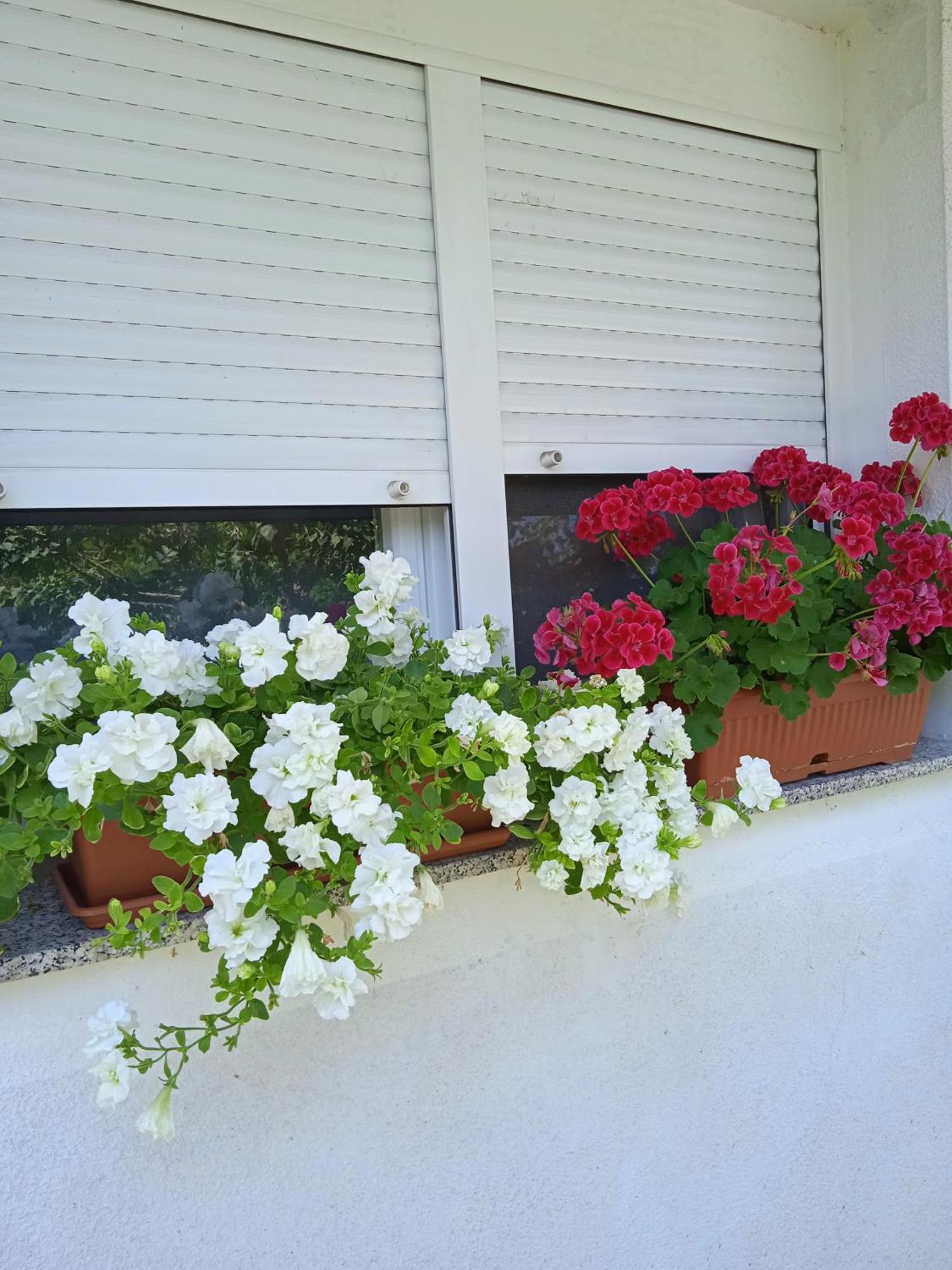 Studio Luna Appartement Karlovac Exterior foto